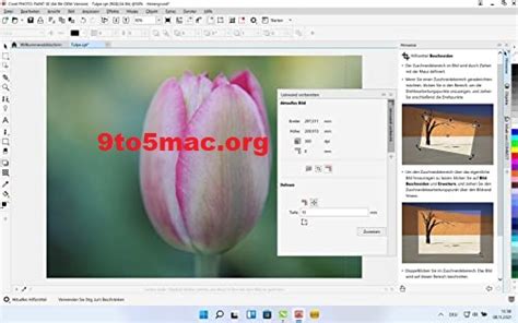 Corel PhotoMirage 1.0.0.219 Download